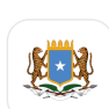 Federal Government of Somalia